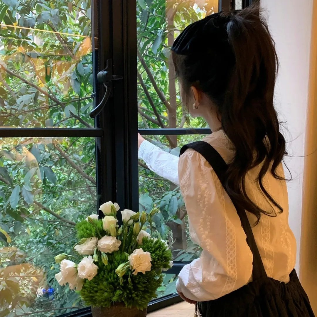 海豚的故事2